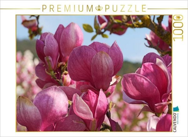 CALVENDO Puzzle magnolia rustica rubra | 1000 Teile Lege-Größe 64x48cm Foto-Puzzle für glückliche Stunden, Sonstige von , Calvendo Puzzle,