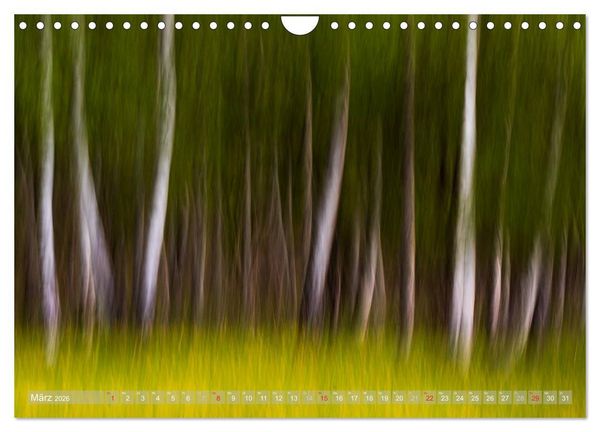 Produktbild: Atelier Wald - gemalt mit Licht (Wandkalender 2026 DIN A4 quer), CALVENDO Monatskalender