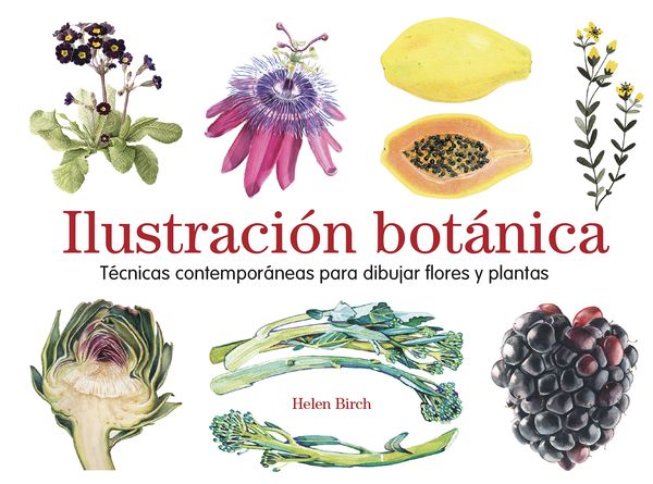Produktbild: Ilustraci&oacute;n bot&aacute;nica