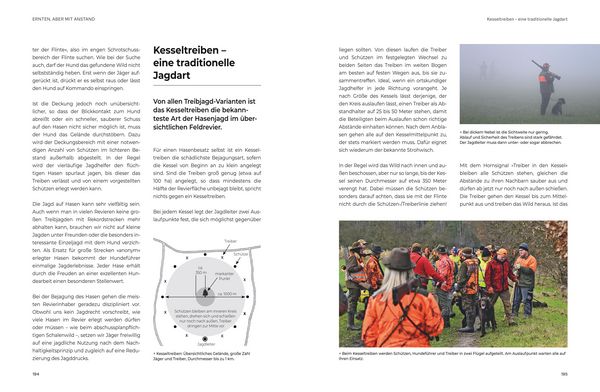 Produktbild: Das gro&szlig;e BLV Handbuch Niederwild
