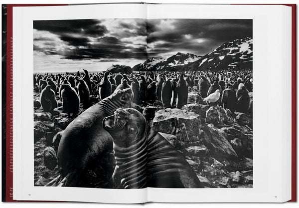 Produktbild: Sebasti&atilde;o Salgado. GENESIS