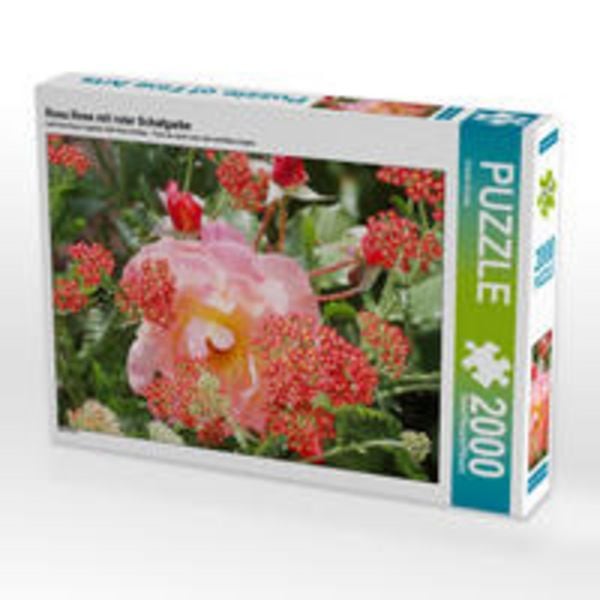 CALVENDO Puzzle Rosa Rose mit roter Schafgarbe | 2000 Teile Lege-Größe 90x67cm Foto-Puzzle für glückliche Stunden