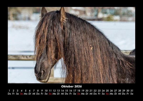 Produktbild: Die Welt der Pferde 2026 Fotokalender DIN A3