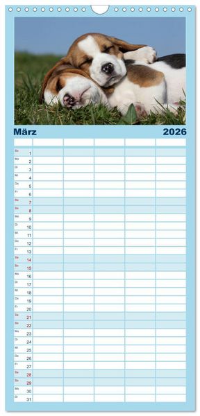 Produktbild: Familienplaner 2026 - Welpen - Puppies mit 5 Spalten (Wandkalender, 21 x 45 cm) CALVENDO