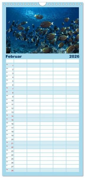 Produktbild: Familienplaner 2026 - Unterwasserwelt Christmas Island mit 5 Spalten (Wandkalender, 21 x 45 cm) CALVENDO