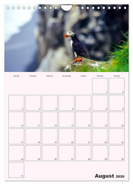 Produktbild: Papageitaucher Monatsplaner (Wandkalender 2026 DIN A4 hoch), CALVENDO Monatskalender
