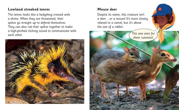 Produktbild: Rare and Unusual Creatures