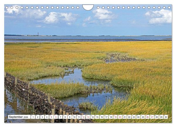 Produktbild: GREETSIEL - Schafe - Krabbenkutter - M&ouml;wen (Wandkalender 2026 DIN A4 quer), CALVENDO Monatskalender