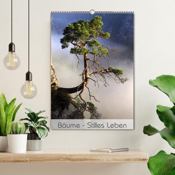 Produktbild: B&auml;ume - Stilles Leben (Wandkalender 2026 DIN A2 hoch), CALVENDO Monatskalender