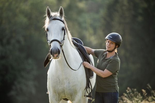 Einfach (An)Reiten