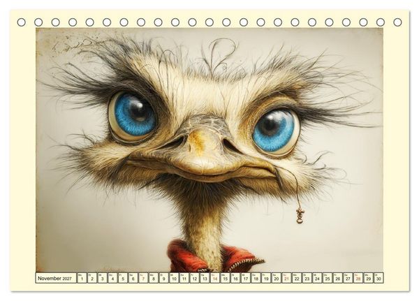 Produktbild: Schr&auml;ge V&ouml;gel. Skurrile Portraits mit Charakter und Charme (Tischkalender 2027 DIN A5 quer), CALVENDO Monatskalender