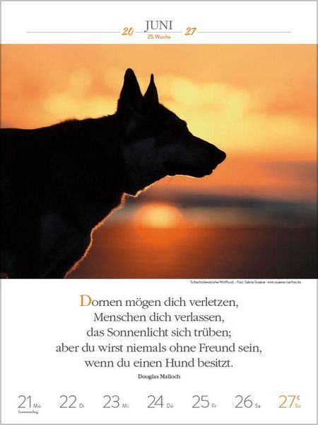 Produktbild: Literaturkalender Hunde 2027