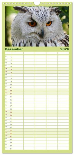 Produktbild: Familienplaner 2026 - Eulen. W&auml;chter der Nacht mit 5 Spalten (Wandkalender, 21 x 45 cm) CALVENDO