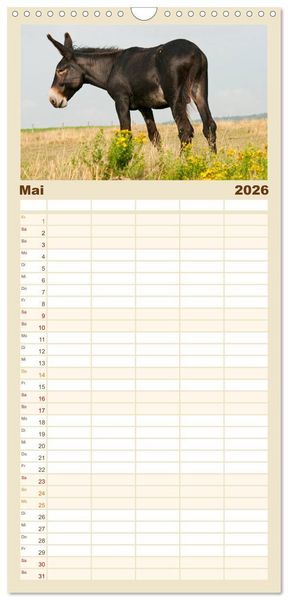 Produktbild: Familienplaner 2026 - Esel - Sixtus Loreley mit 5 Spalten (Wandkalender, 21 x 45 cm) CALVENDO