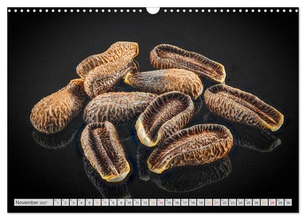 Produktbild: Zauber der kleinen Dinge (Wandkalender 2027 DIN A3 quer), CALVENDO Monatskalender