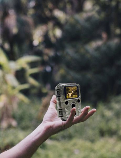 Produktbild: Braun Phototechnik Black 800 Mini Wildkamera 20 Megapixel Zeitrafferfunktion, Tonaufzeichnung Camouflage