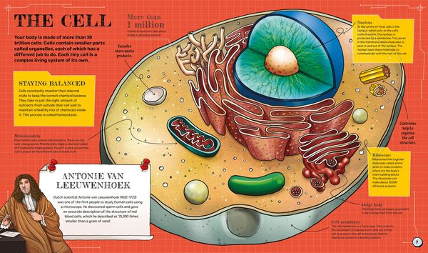 Produktbild: The Spectacular Science of the Human Body