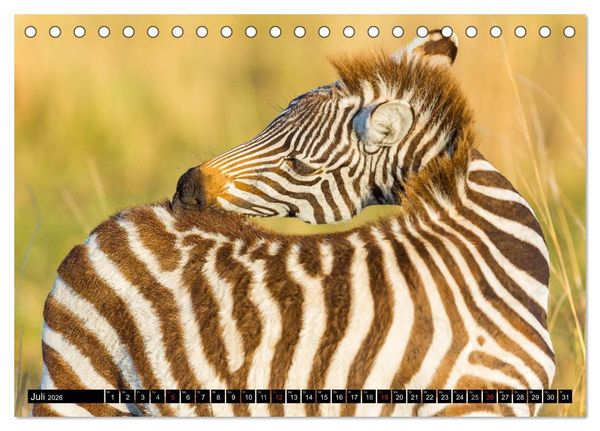 Produktbild: Masai Mara 2026 (Tischkalender 2026 DIN A5 quer), CALVENDO Monatskalender