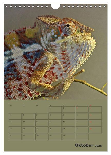 Produktbild: Minidrachen - Die kleinen Nachkommen der Urzeitmonster (Wandkalender 2026 DIN A4 hoch), CALVENDO Monatskalender