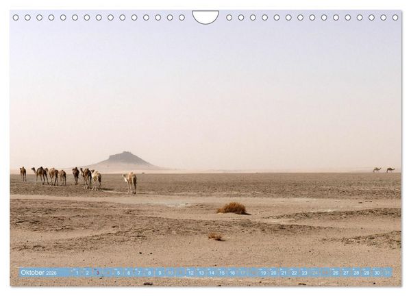 Produktbild: Sehnsucht Sahara (Wandkalender 2026 DIN A4 quer), CALVENDO Monatskalender