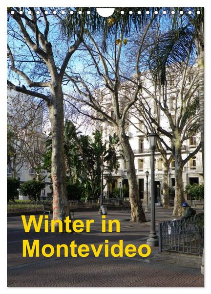 Produktbild: Winter in Montevideo (Wandkalender 2026 DIN A4 hoch), CALVENDO Monatskalender