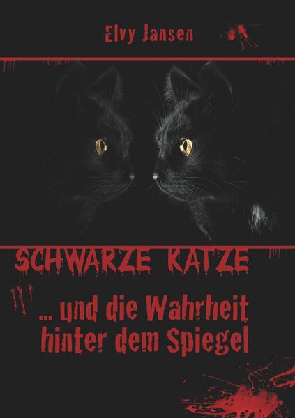 Produktbild: Schwarze Katze...Und die Wahrheit hinter dem Spiegel