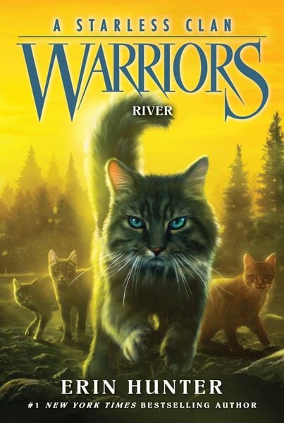 Produktbild: Warriors: A Starless Clan #1: River