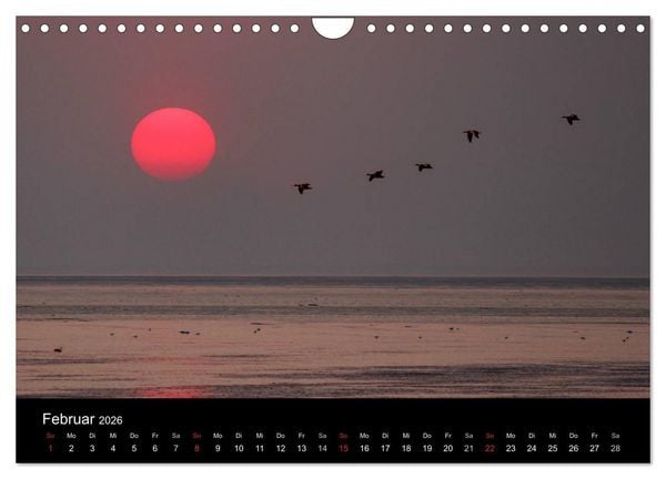 Produktbild: Im Norden - An der Nordsee in Deutschland (Wandkalender 2026 DIN A4 quer), CALVENDO Monatskalender