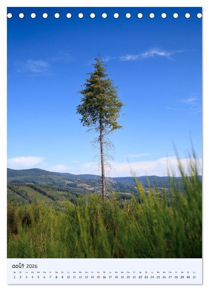 Produktbild: Arbres solitaires (Calendrier de bureau 2026 DIN A5 horizontal), CALVENDO calendrier mensuel