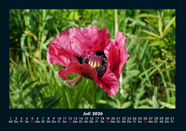 Produktbild: Blumenkalender 2026 Fotokalender DIN A4