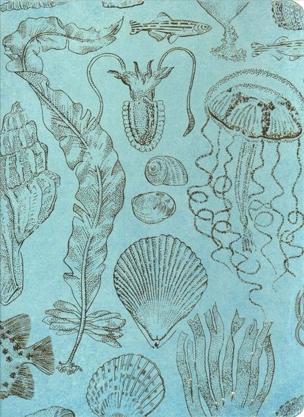 Produktbild: Sealife Sketches Journal