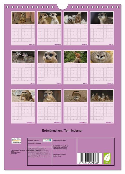 Produktbild: Erdm&auml;nnchen / Terminplaner (Wandkalender 2026 DIN A4 hoch), CALVENDO Monatskalender