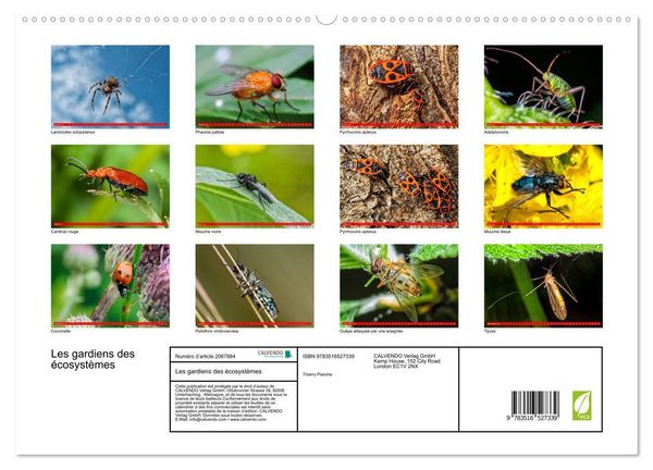 Produktbild: Les gardiens des &eacute;cosyst&egrave;mes (Calendrier mural 2026 DIN A2 vertical) calendrier de bureau