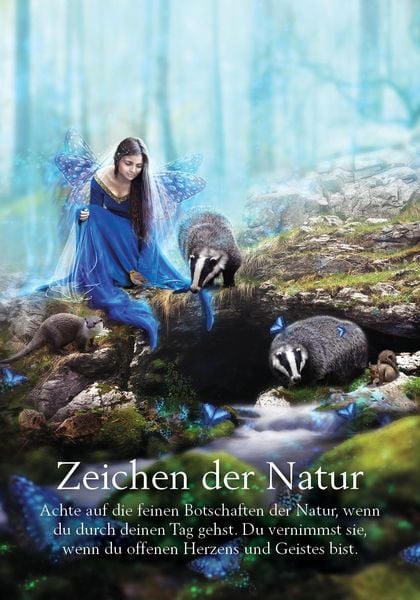 Produktbild: Orakel der Feen