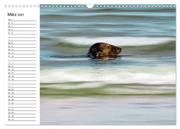 Produktbild: Fan&oslash; - Mit k&uuml;nstlerischem Auge betrachtet (Wandkalender 2027 DIN A3 quer), CALVENDO Monatskalender