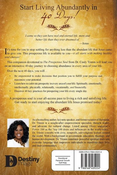 Produktbild: 40 Days to Prosperous Soul