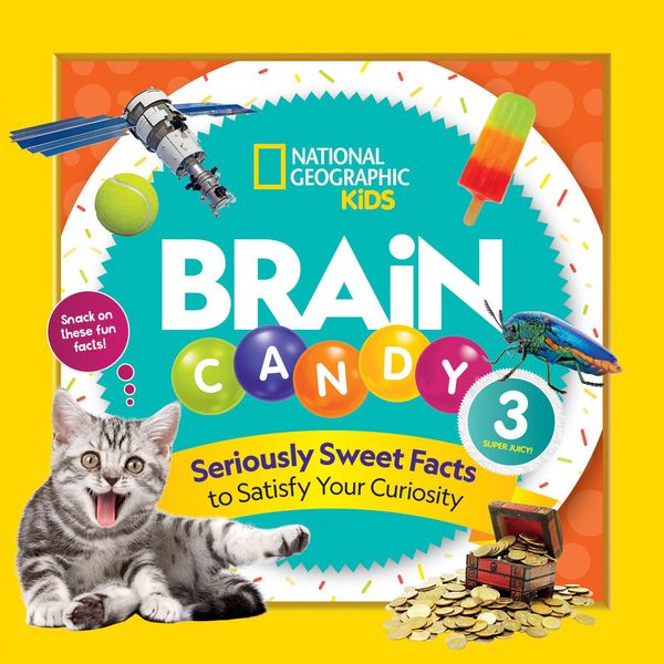 Produktbild: Brain Candy 3