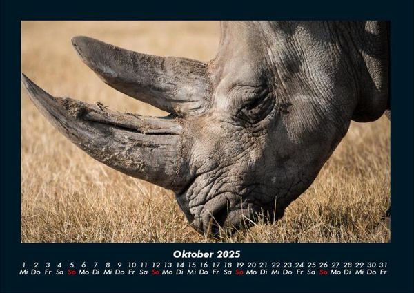 Produktbild: Der Tierkalender 2025 Fotokalender DIN A4