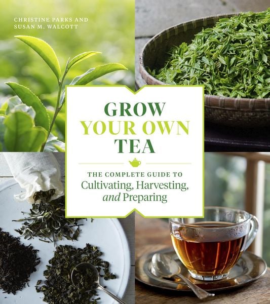 Produktbild: Grow Your Own Tea