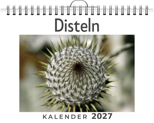 Produktbild: Disteln