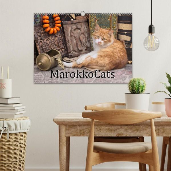 Produktbild: MarokkoCats (Wandkalender 2027 DIN A3 quer), CALVENDO Monatskalender