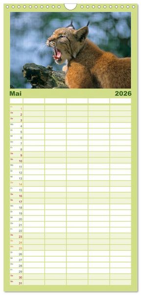 Produktbild: Familienplaner 2026 - Tiere des Waldes mit 5 Spalten (Wandkalender, 21 x 45 cm) CALVENDO