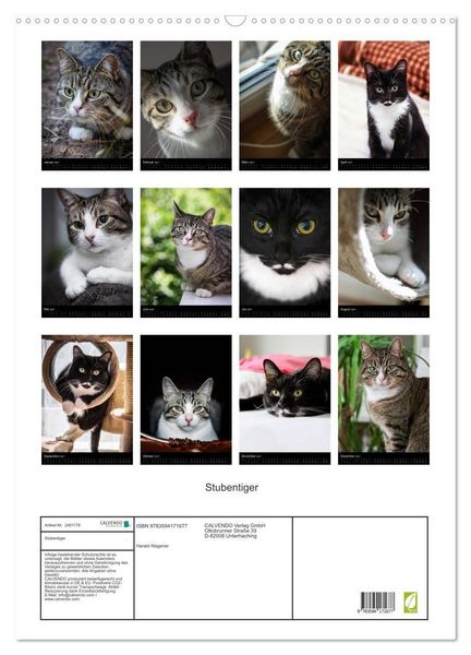 Produktbild: Stubentiger (Wandkalender 2027 DIN A2 hoch), CALVENDO Monatskalender