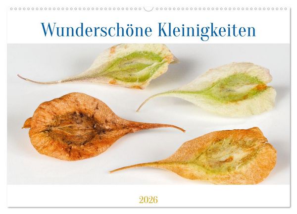 Wunderschöne Kleinigkeiten (Wandkalender 2026 DIN A2 quer), CALVENDO Monatskalender