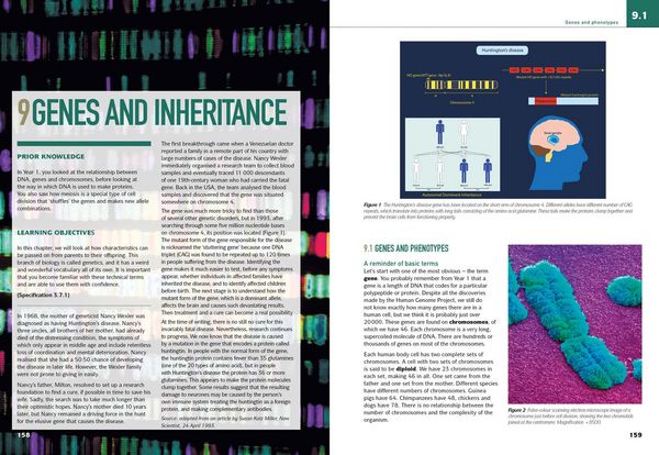 Produktbild: AQA A Level Biology Year 2 Student Book