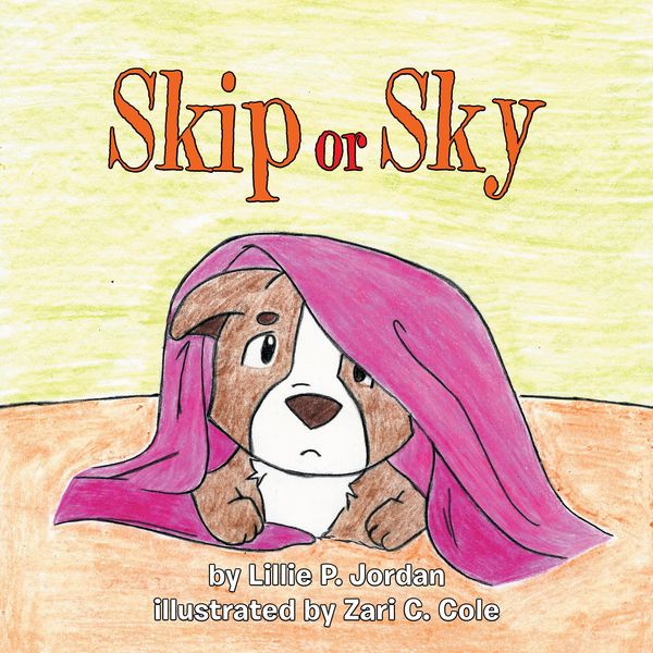 Produktbild: Skip or Sky