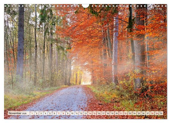 Produktbild: Impressionen Augsburger Stadtwald (Wandkalender 2026 DIN A3 quer), CALVENDO Monatskalender