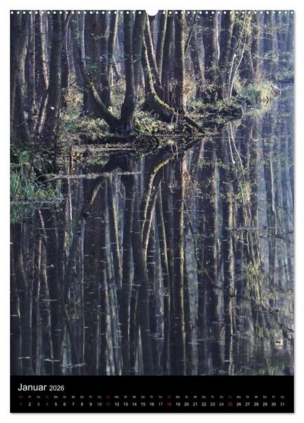 Produktbild: Wunderbarer Spreewald (Wandkalender 2026 DIN A2 hoch), CALVENDO Monatskalender