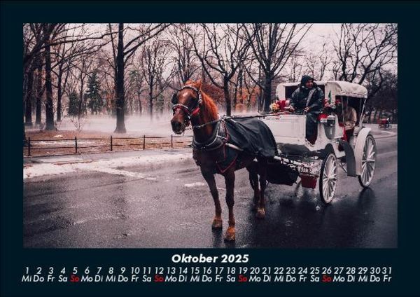 Produktbild: New York 2025 Fotokalender DIN A5
