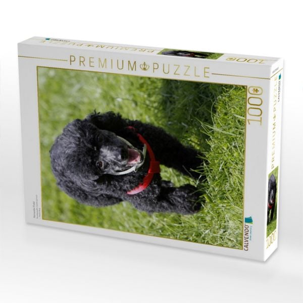 Produktbild: CALVENDO Puzzle Rennender Pudel | 1000 Teile Lege-Gr&ouml;&szlig;e 64x48cm Foto-Puzzle f&uuml;r gl&uuml;ckliche Stunden